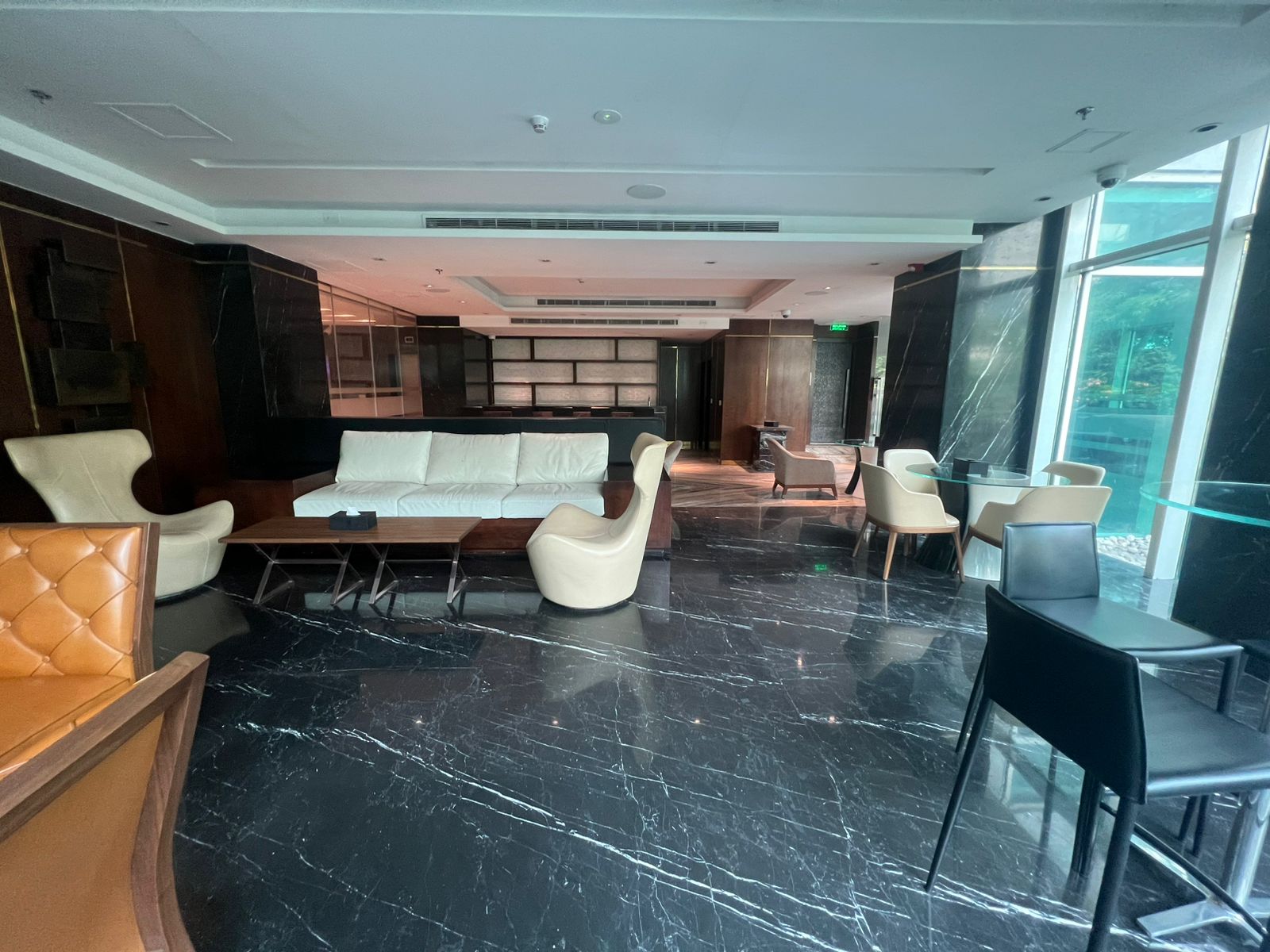 Modern luxury living room